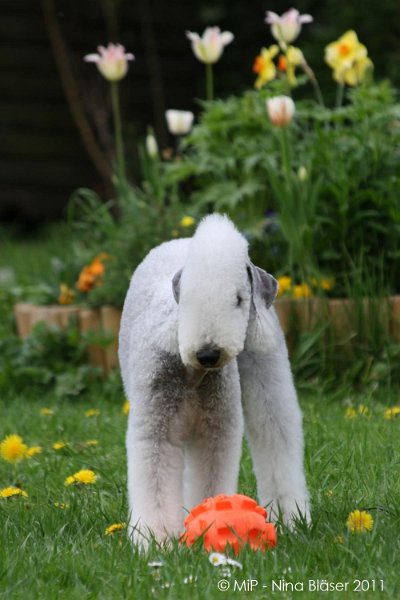 2011-04-23 Quincy etc (54).jpg